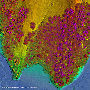 A LiDAR-derived hillshade image of the same area, which includes the vegetation.
